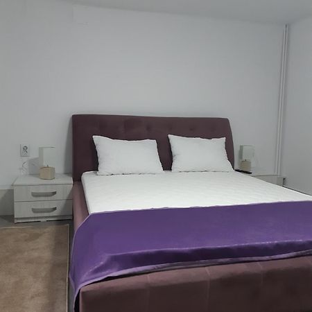 Apartament Magnolia Nearby City Center With Parking Sybin Zewnętrze zdjęcie
